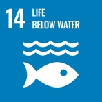 UN SDG 14 aims to protect aquatic environments